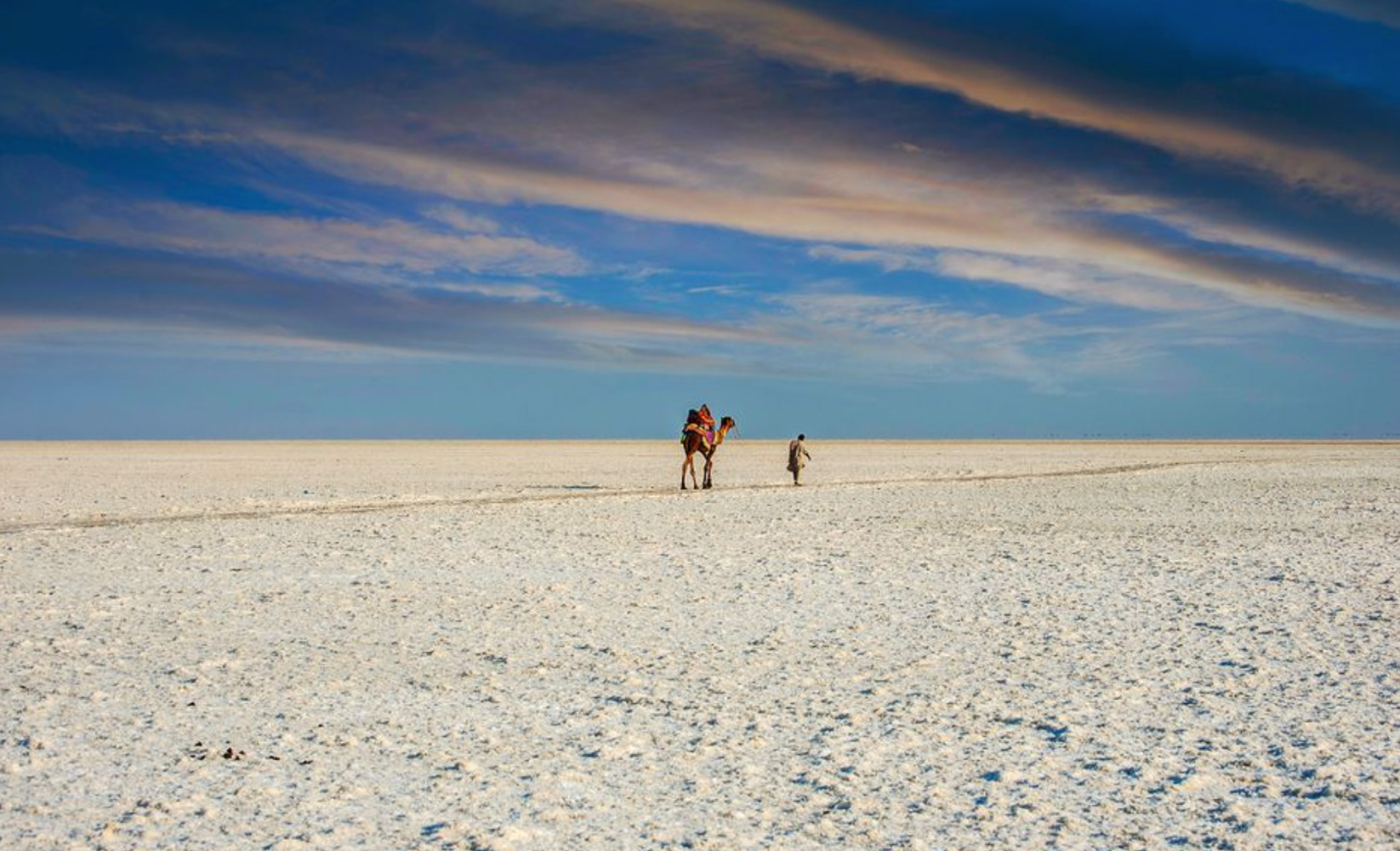 White Dessert (Rann Utsavv Festival)